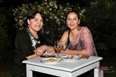 FIESTA-SIDISE-14