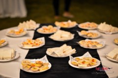 FIESTA-SIDISE-8