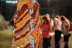 FIESTA-SIDISE-9