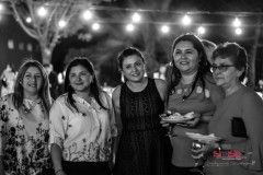 FIESTA-SIDISE-93