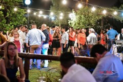 FIESTA-SIDISE-96